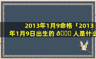 2013年1月9命格「2013年1月9日出生的 🍀 人是什么星座」